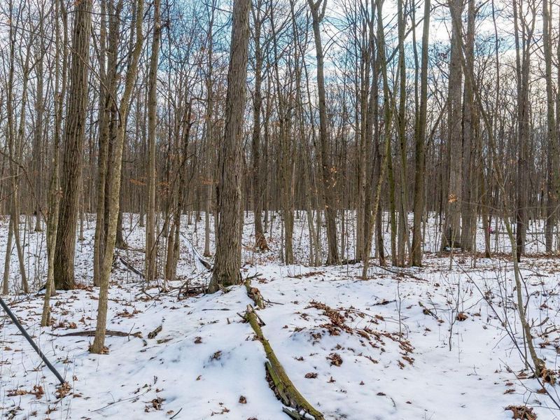 19400 Bear Swamp Road, Marysville, OH 43040 Photo 23