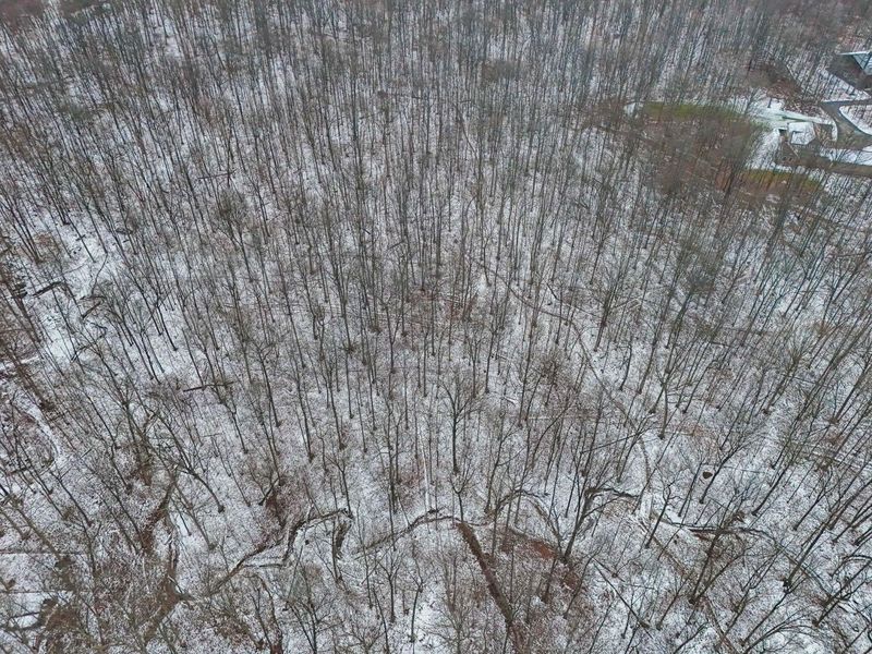 19400 Bear Swamp Road, Marysville, OH 43040 Photo 93