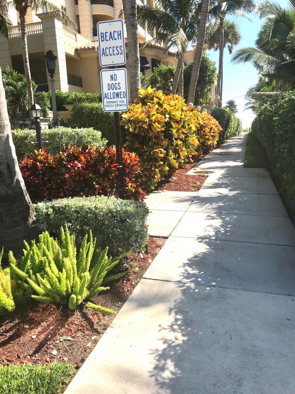 930 Osceola Drive, Unit 8, Boca Raton, FL 33432 Photo