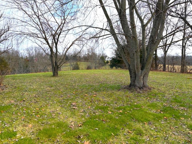 3800 Mound Hill Road, Carrollton, KY 41008 Photo 19