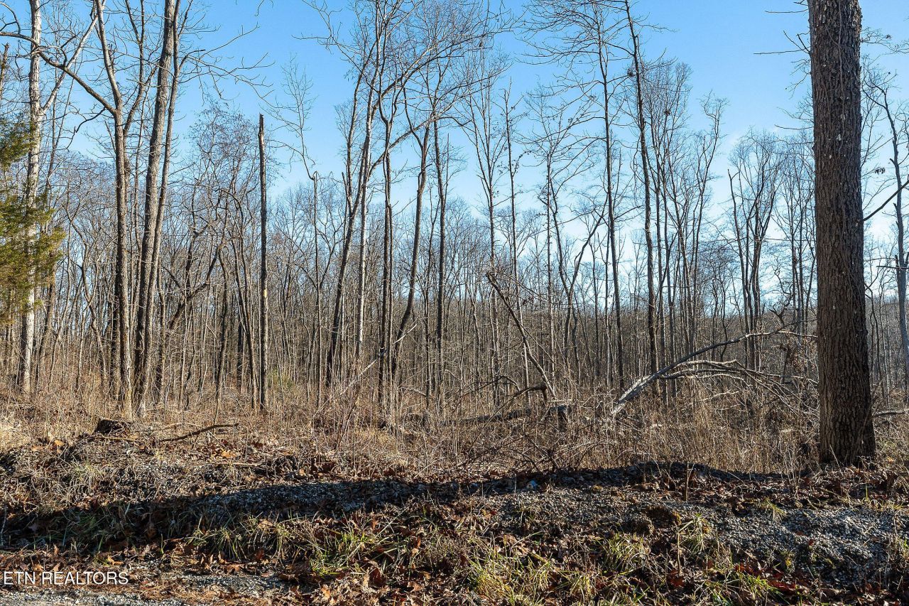 Valley View Rd, Crossville, TN 38572 Main Photo