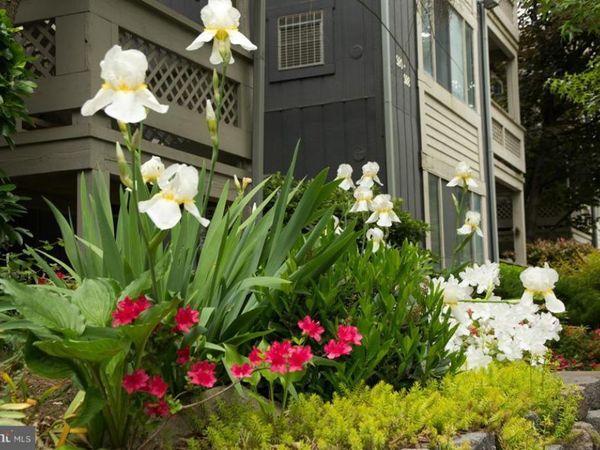 916 WINDBROOKE DRIVE, Unit 916, GAITHERSBURG, MD 20879