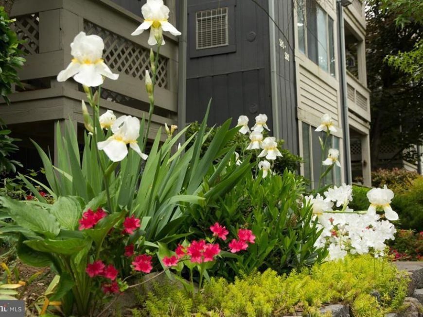 916 Windbrooke Drive, Unit 916, Gaithersburg, MD 20879 Main Photo