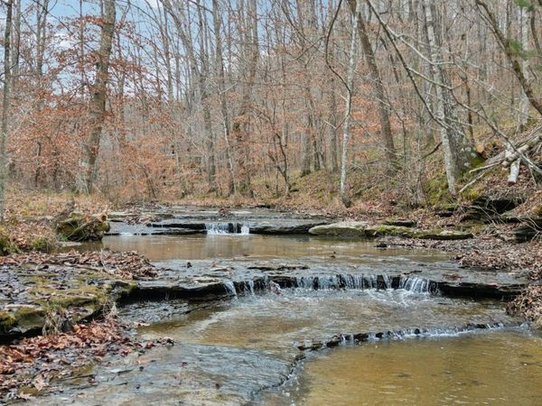 3668 Old Sams Creek Rd, Pegram, TN 37143