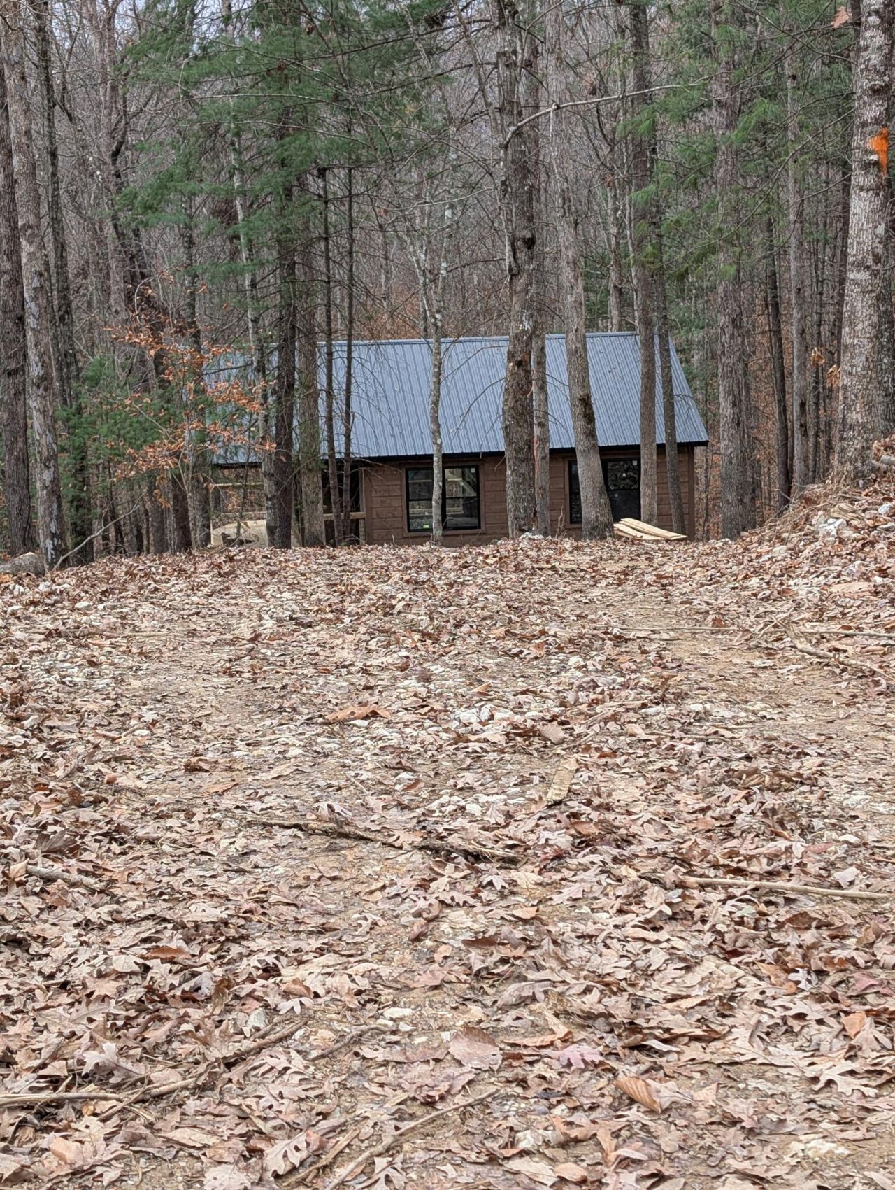 20 Joyful Springs Road, Zoe, KY 41397 Main Photo