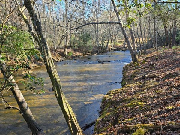 LOT 11B Spence Road, Epworth, GA 30541