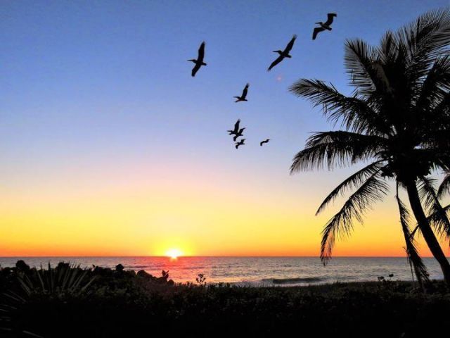 11447 SW Lake Park Drive, Port Saint Lucie, FL 34987 Photo