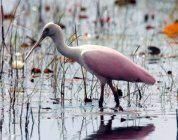 11447 SW Lake Park Drive, Port Saint Lucie, FL 34987 Photo