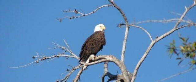 11447 SW Lake Park Drive, Port Saint Lucie, FL 34987 Photo