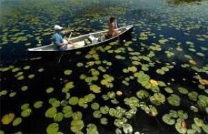 11447 SW Lake Park Drive, Port Saint Lucie, FL 34987 Photo