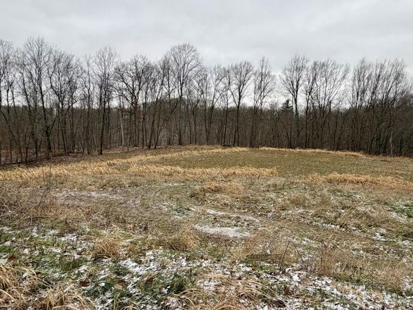 0 Sealover Hollow Road, Philo, OH 43771