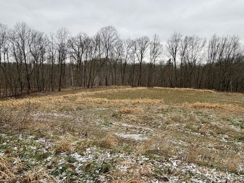 0 Sealover Hollow Road, Philo, OH 43771 Photo 1
