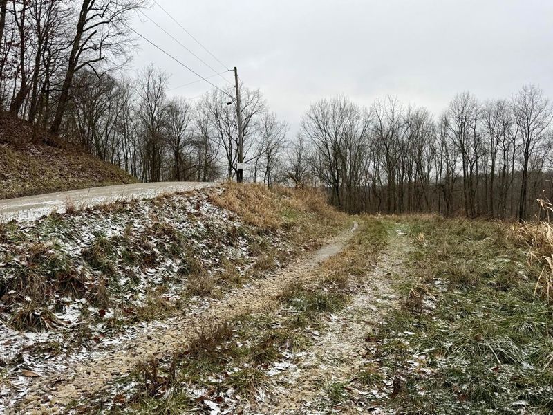 0 Sealover Hollow Road, Philo, OH 43771 Photo 11