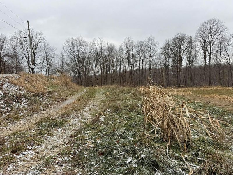 0 Sealover Hollow Road, Philo, OH 43771 Photo 12