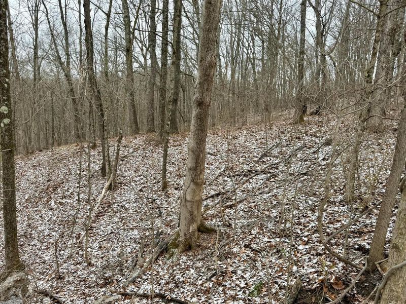 0 Sealover Hollow Road, Philo, OH 43771 Photo 18