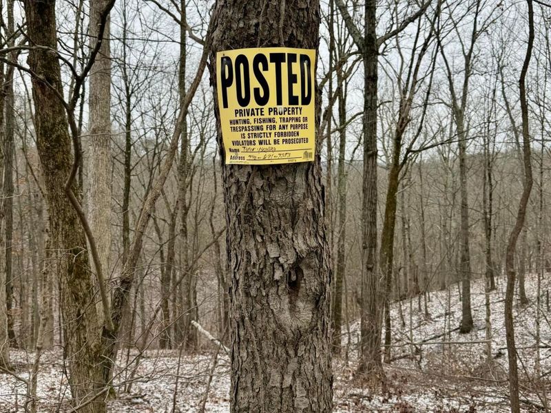 0 Sealover Hollow Road, Philo, OH 43771 Photo 19