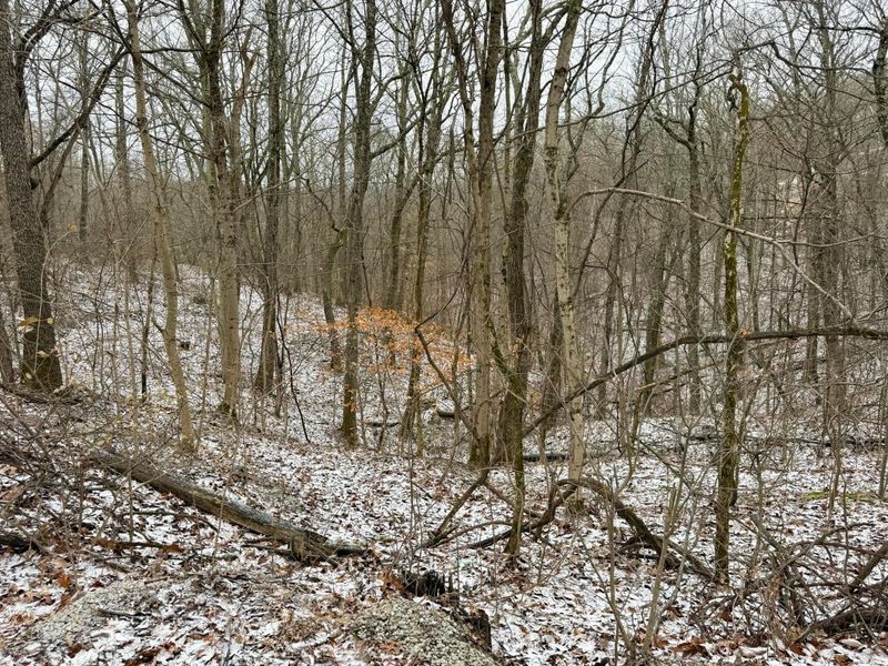 0 Sealover Hollow Road, Philo, OH 43771 Photo 24