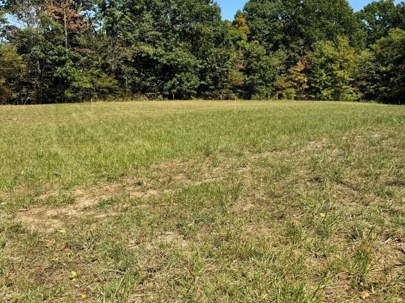 0 Sealover Hollow Road, Philo, OH 43771 Photo 5