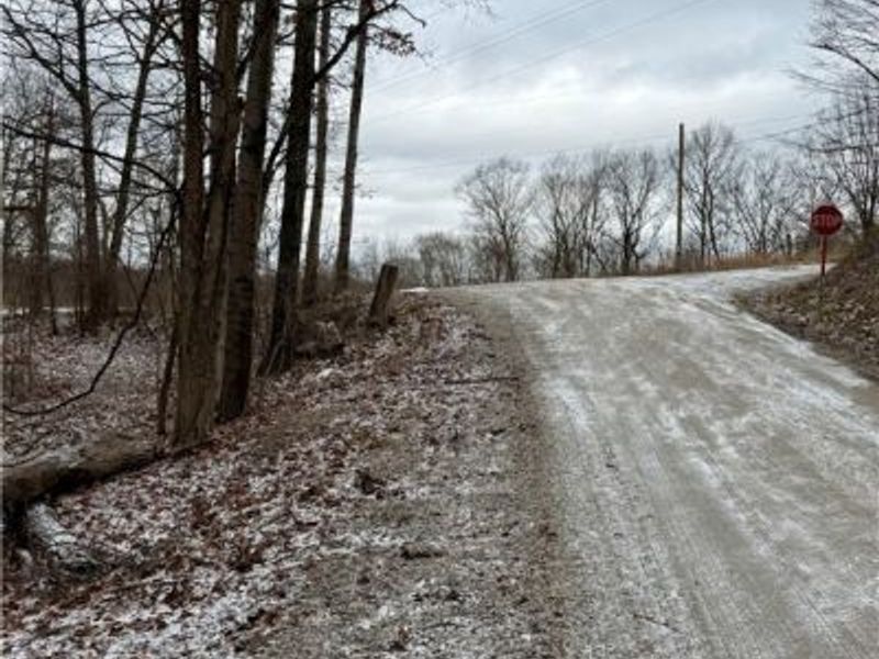 0 Sealover Hollow Road, Philo, OH 43771 Photo 11