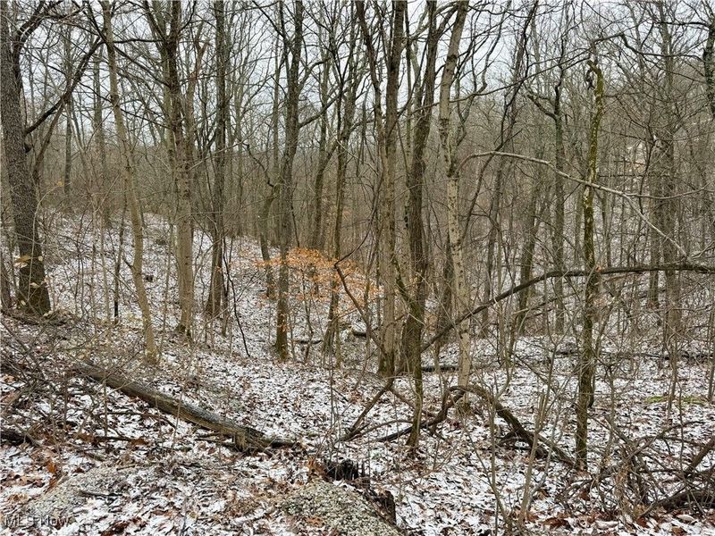 0 Sealover Hollow Road, Philo, OH 43771 Photo 12