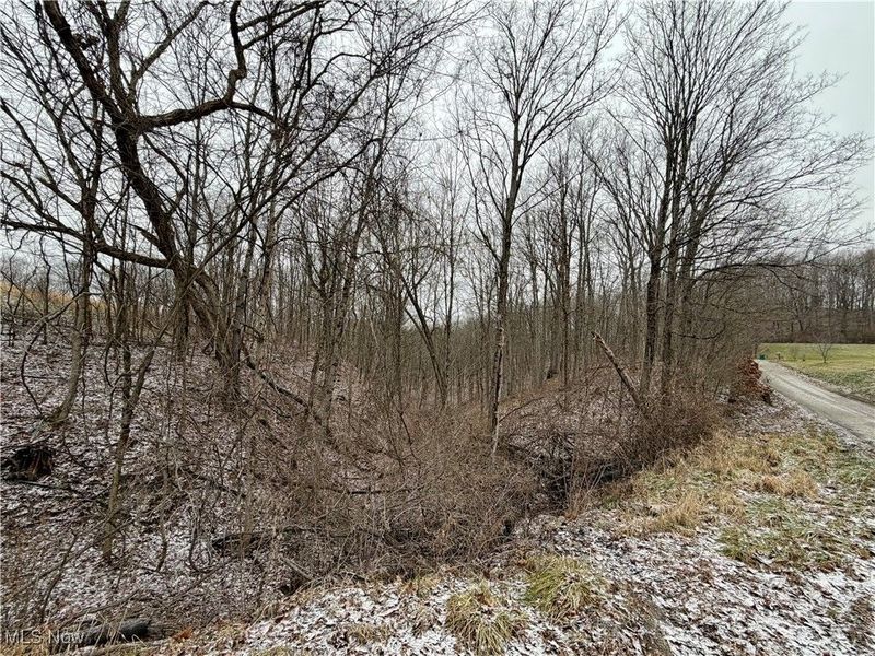 0 Sealover Hollow Road, Philo, OH 43771 Photo 15