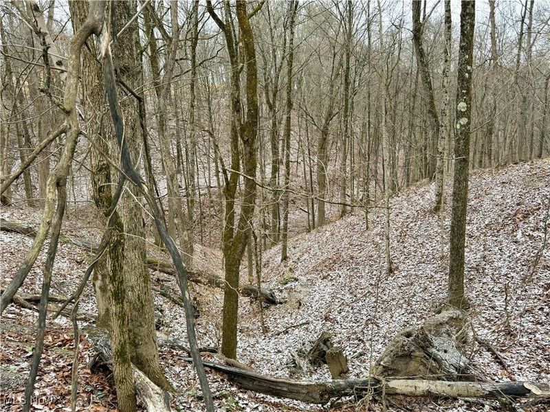 0 Sealover Hollow Road, Philo, OH 43771 Photo 19