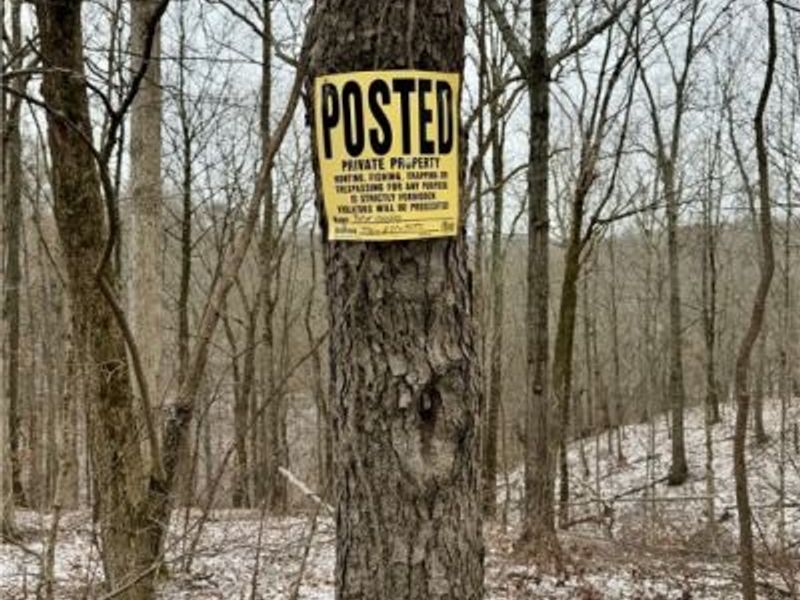 0 Sealover Hollow Road, Philo, OH 43771 Photo 21