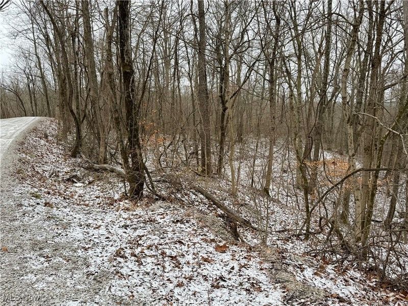 0 Sealover Hollow Road, Philo, OH 43771 Photo 25