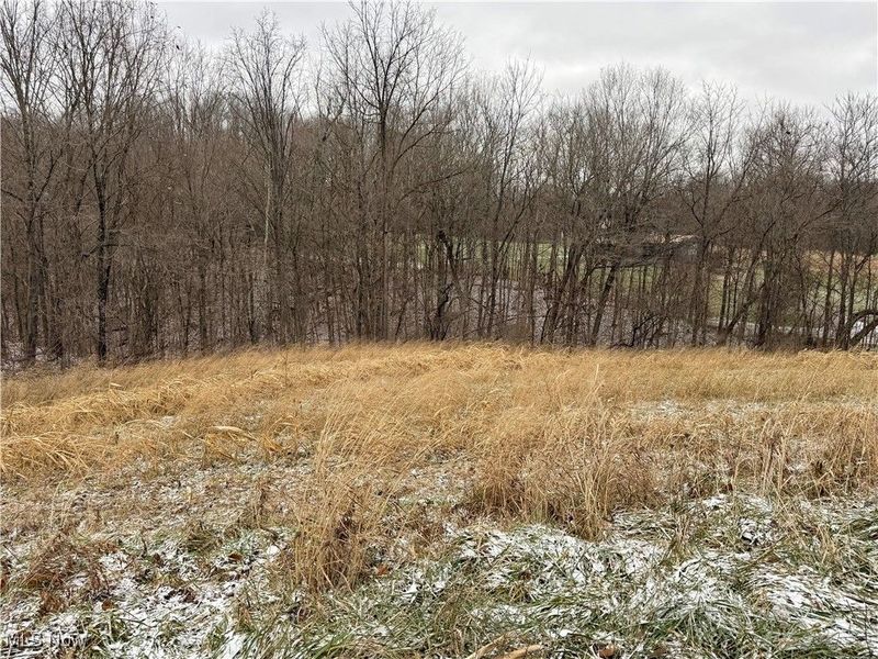 0 Sealover Hollow Road, Philo, OH 43771 Photo 4