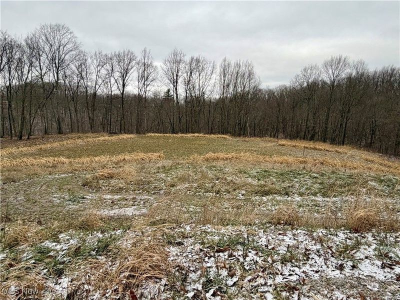 0 Sealover Hollow Road, Philo, OH 43771 Photo 8