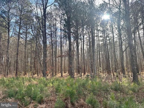 78 CUBITT CREEK ROAD, HEATHSVILLE, VA 22473