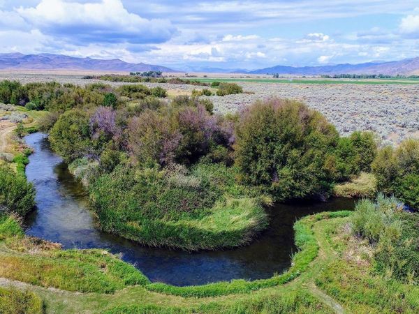 428 Cutoff Road, Picabo, ID 83313