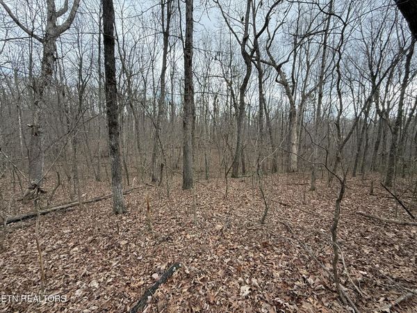 Crest Rd, Monterey, TN 38574