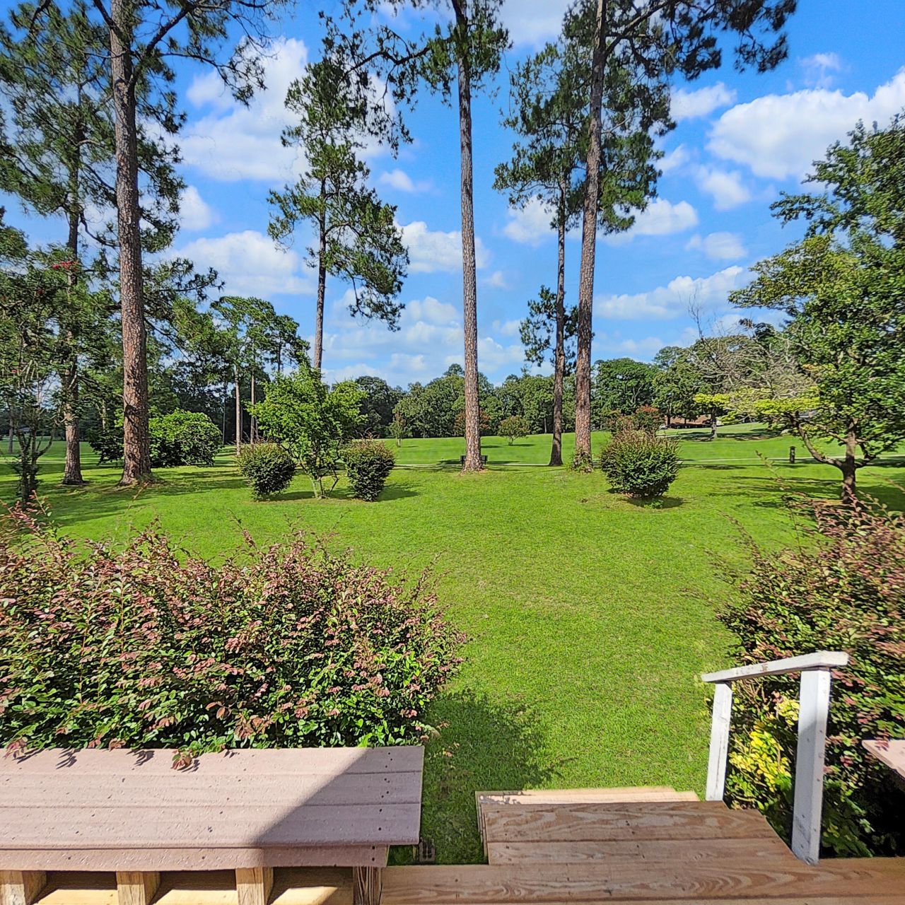 119 Saluda Drive Photo 43