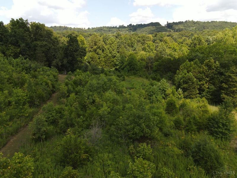 2314 White Oak Road, Blue Creek, OH 45616 Photo 13