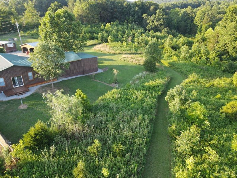 2314 White Oak Road, Blue Creek, OH 45616 Photo 3