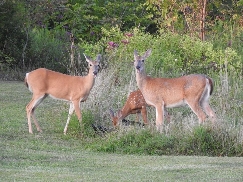 2314 White Oak Road, Blue Creek, OH 45616 Photo 34