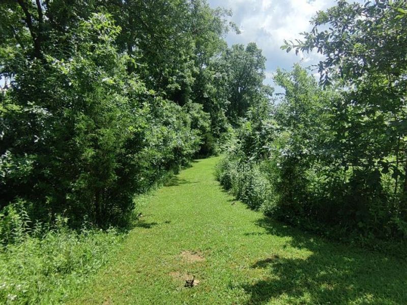 2314 White Oak Road, Blue Creek, OH 45616 Photo 38