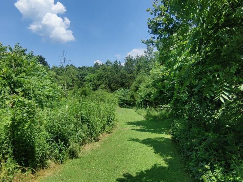 2314 White Oak Road, Blue Creek, OH 45616 Photo 39