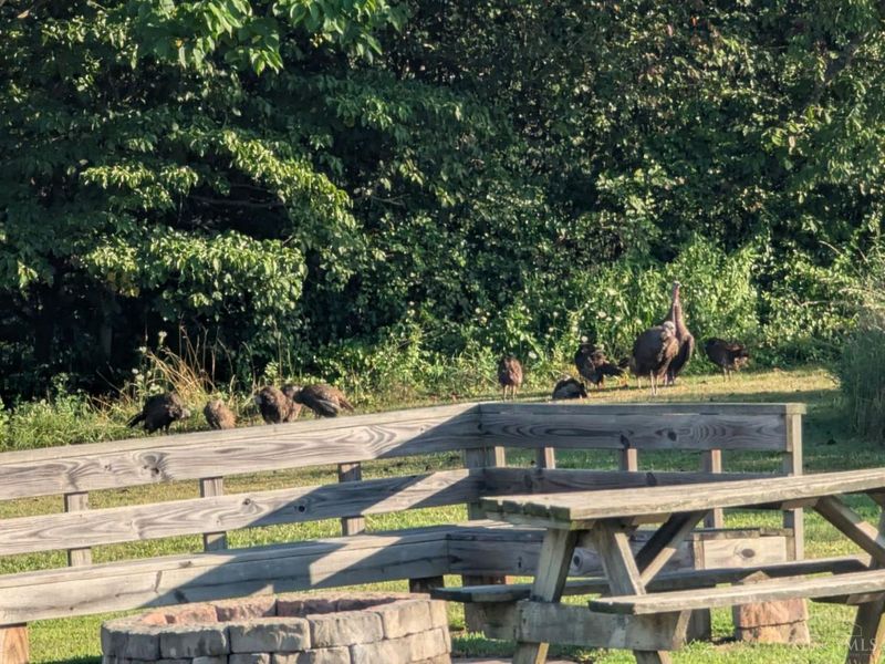 2314 White Oak Road, Blue Creek, OH 45616 Photo 40