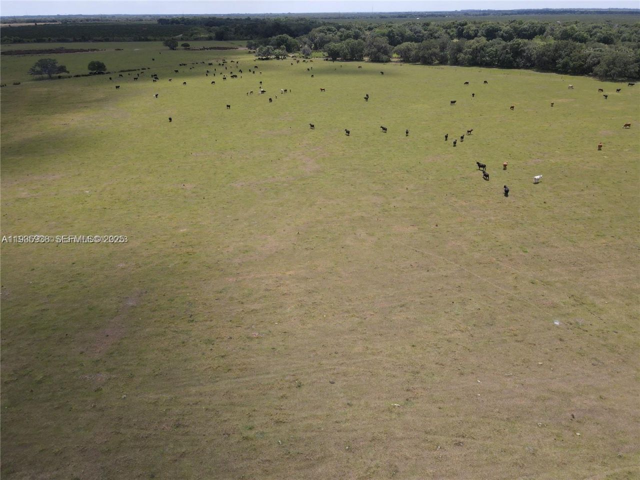 6918 SW Miami Ave , Arcadia, FL 34266 Photo