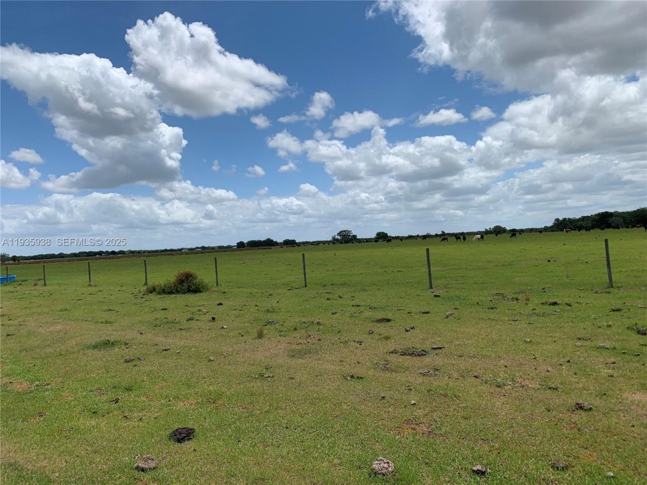 6918 SW Miami Ave , Arcadia, FL 34266 Photo