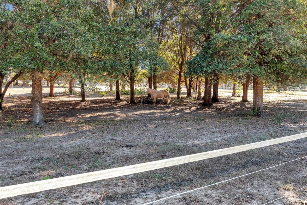 11375 N Circle M Avenue, Dunnellon, FL 34433 Photo