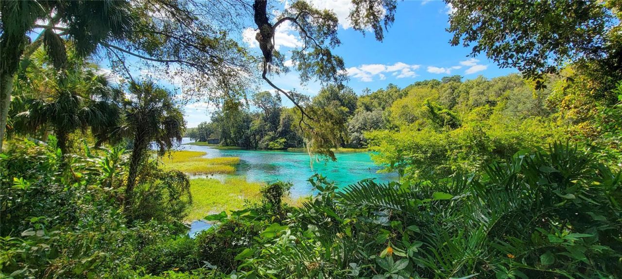 11375 N Circle M Avenue, Dunnellon, FL 34433 Photo