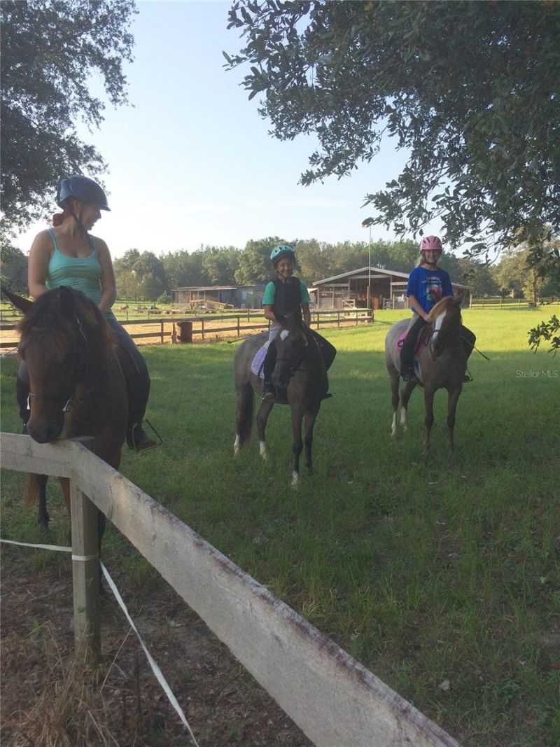 11375 N Circle M Avenue, Dunnellon, FL 34433 Photo