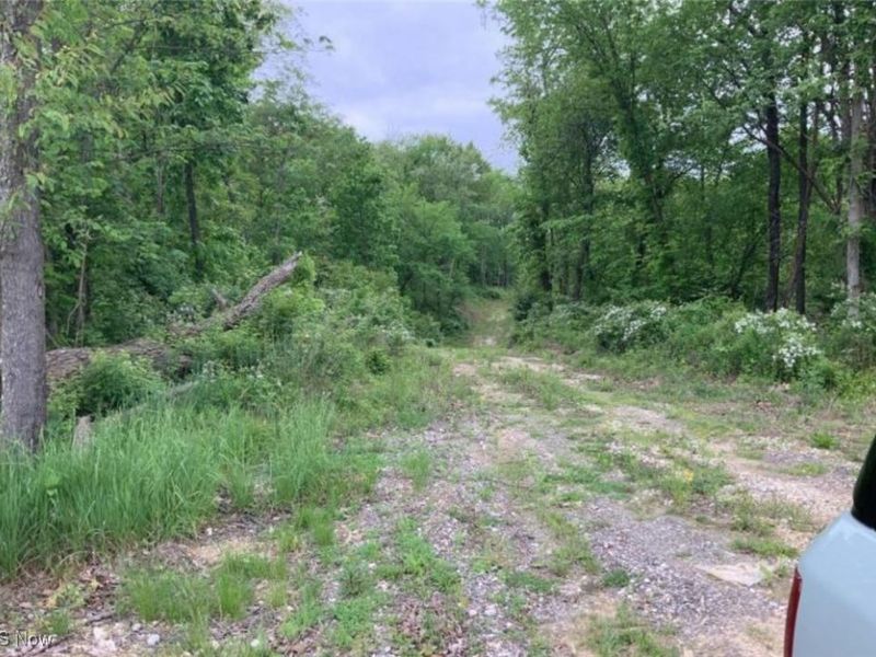 1559 Antigua SW, Carrollton, OH 44615 Photo 3