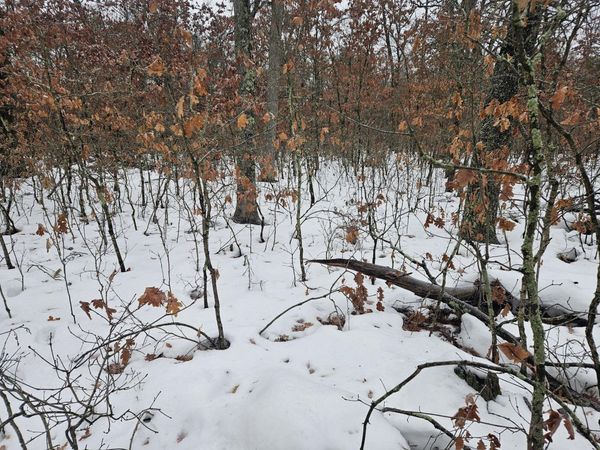 v/l 10-13 W Oliver Road, Baldwin, MI 49304