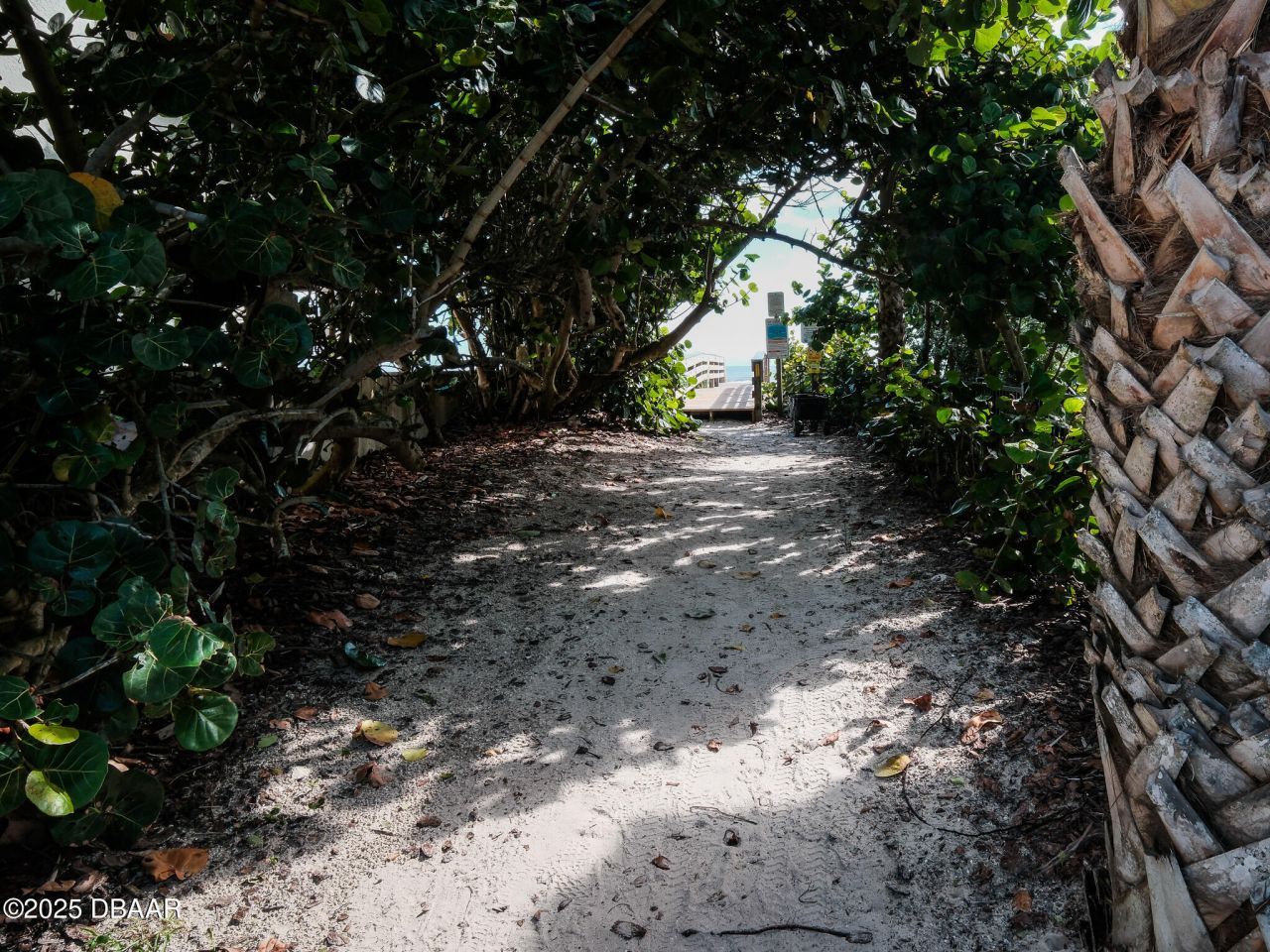 4704 Van Kleeck Drive, New Smyrna Beach, FL 32169 Photo