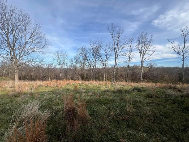 53720 State Route 681, Reedsville, OH 45772 Photo 27