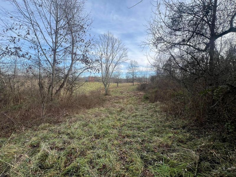 53720 State Route 681, Reedsville, OH 45772 Photo 31